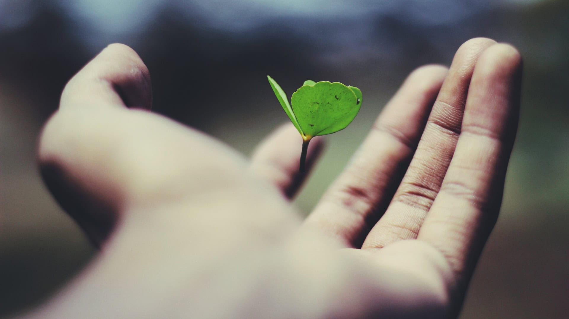 Podcast Episode 249: Dangerous Mindsets for Financial Planning